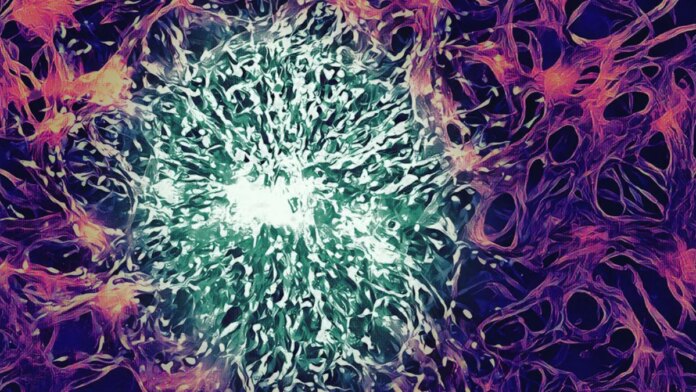 Researchers Develop Nanoparticles That Can Deliver Chemotherapy Drug to Brain, Help Kill Cancer Cells