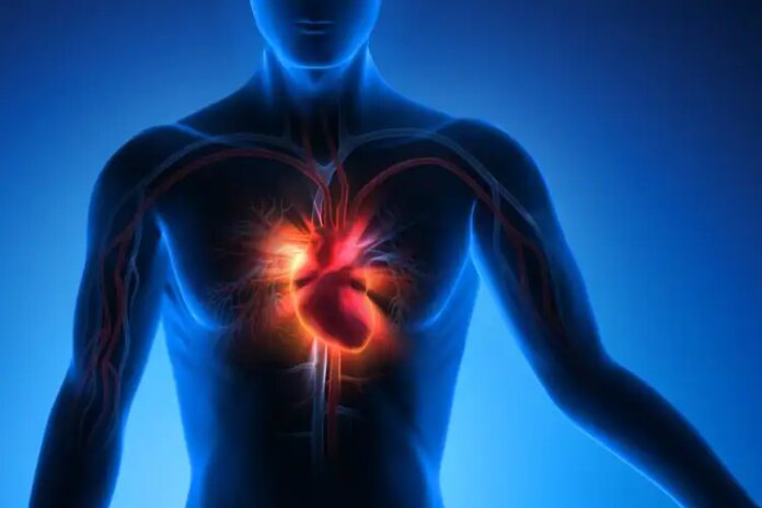 New Research Proves Covid Can Cause Heart Attack How To Prevent Heart Attack...