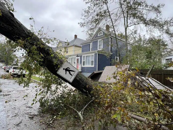 Hurricane Fiona Powerful Storm Hit Canada So Many Trees Uprooted Power Cut...
