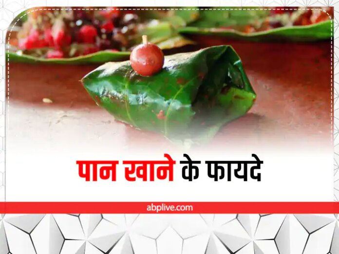 Betel Leaf Health Benefits In Hindi