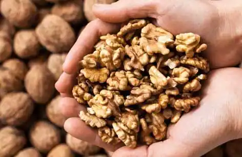 This Dry Fruit Is A Panacea To Drive Away Many Diseases, Eat It And See