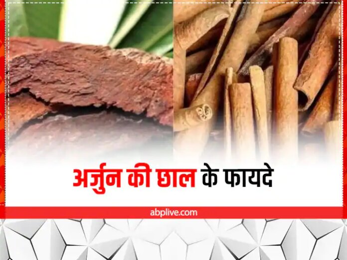Health Benefits Of Arjuna Bark In Hindi