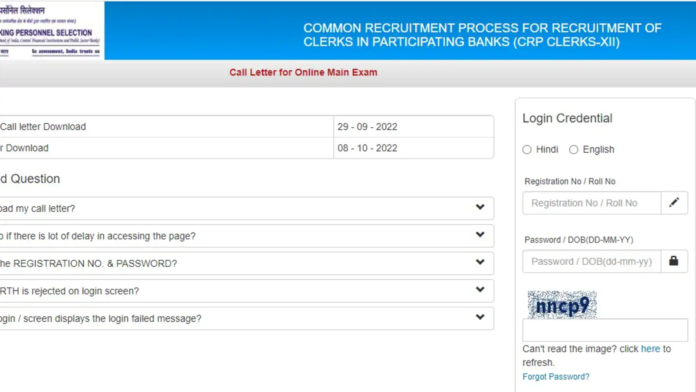  IBPS clerk main admit card 2022 out, how to download |  Competitive Exams
