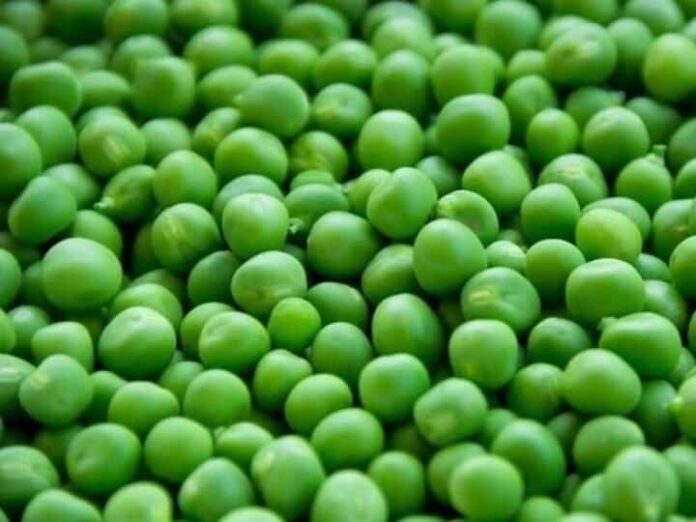 If Till Now You Did Not Know These Benefits Of Eating Peas, Then Know, You...