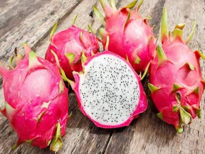 These Are The Benefits Of Dragon Fruit, Prevention From Many Diseases