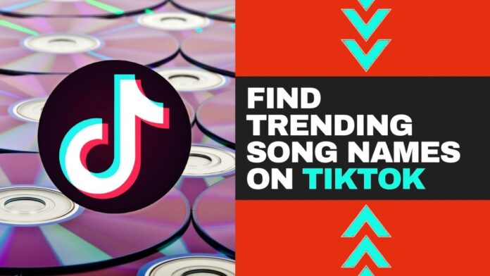 TikTok Songs: How to Find TikTok Trending Songs