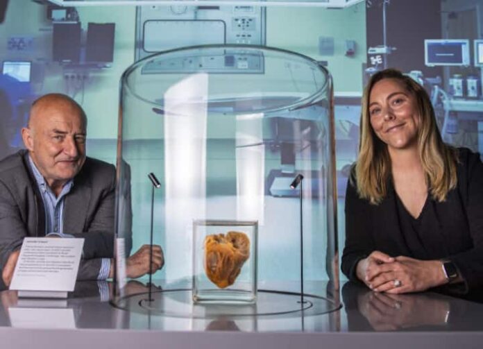 Woman Sees Her Own Heart On Display At Museum 16 Years After Transplant...
