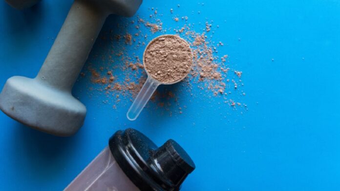 Homemade protein powder for weight loss and muscle gain