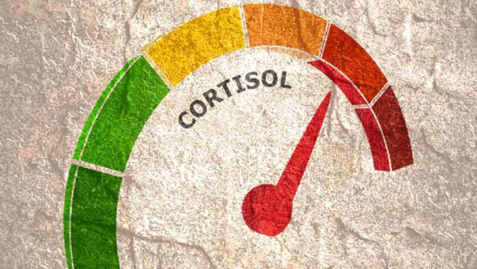 How to reduce cortisol level naturally: Top tips